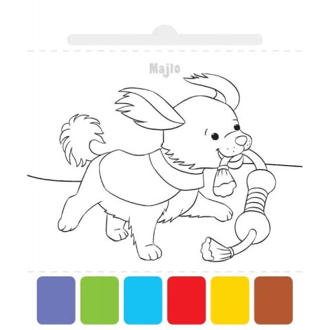 Książka dla dzieci Użyj wody, zbudź kolory! Zwierzęta Aksjomat Aksjomat