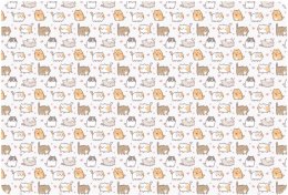 Podkład na biurko KITTENS mix PVC PCW Biurfol (PSN-A3-35) Biurfol