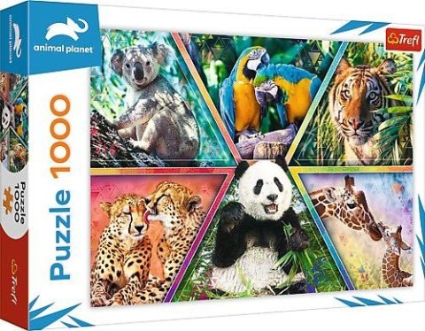 Puzzle 1000 el. Trefl (10672) Trefl