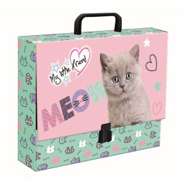 Teczka kartonowa na zatrzask My Little Friend Fluffy Kitty A4 mix Unipap Unipap