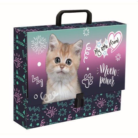 Teczka kartonowa na zatrzask My Little Friend Kitty Party A4 mix Unipap Unipap