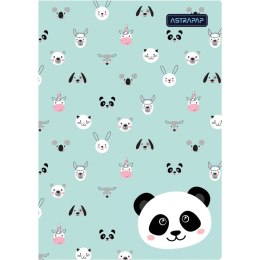 Zeszyt A5 16k. krata Astrapap (102024002) Astrapap