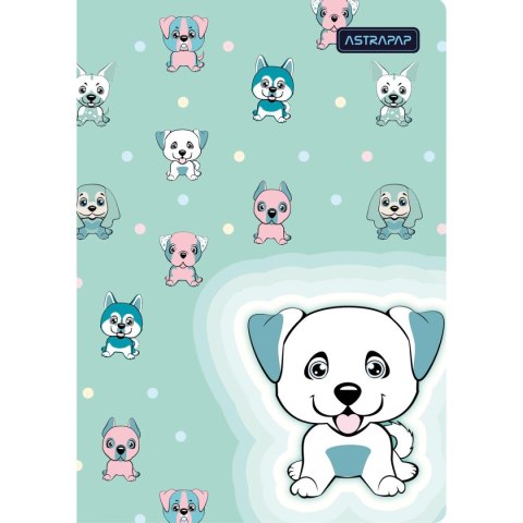 Zeszyt A5 16k. krata Astrapap (102024002) Astrapap