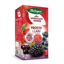 Herbata Herbaciany Ogród owocowo-ziołowa prosto z lasu 20 saszetek Herbapol Herbapol