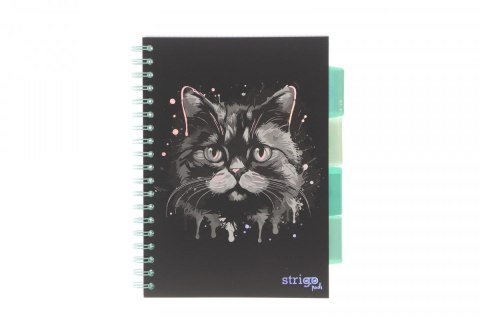 Kołozeszyt (kołonotatnik) ANIMALS KOT CZARNY B5 100k. 80g krata Strigo (PADS023) Strigo
