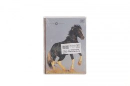 Zeszyt GIRLS A5 32k. 70g linia kolor Interdruk Interdruk