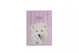 Zeszyt PUPPY SIGN A5 32k. 70g linia kolor Interdruk Interdruk