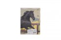 Zeszyt WILD HORSES A5 32k. 70g linia kolor Interdruk Interdruk