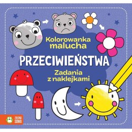 Książeczka edukacyjna Przeciwieństwa. Zielona Sowa Zielona Sowa