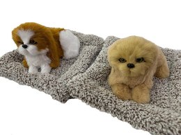 Pluszak piesek na poduszce z dźwiękiem Adar (621015) Adar