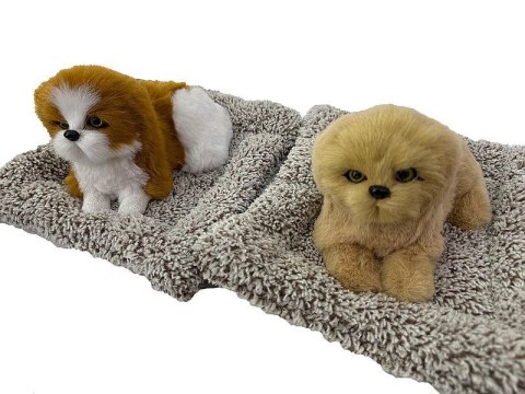 Pluszak piesek na poduszce z dźwiękiem Adar (621015) Adar