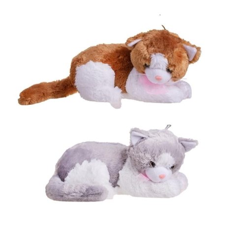 Pluszak kotek łaciaty Deef (3478) Deef