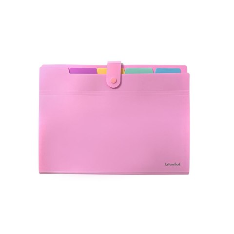 Teczka z przegródkami A4 kolor: różowa Biurfol (THP-A4-01) Biurfol