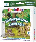 Gra edukacyjna BrainBox - Pocket - Niebezpieczne zwierzęta Rebel (5902650619982) Rebel