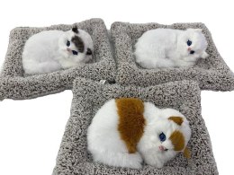 Pluszak kotek na poduszce z dźwiękiem Adar (621008) Adar