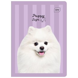 Zeszyt A5 16k. 70g krata Interdruk Interdruk