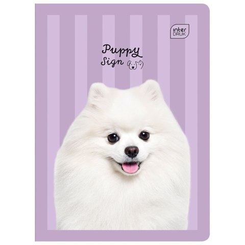 Zeszyt A5 16k. 70g krata Interdruk Interdruk