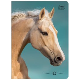 Zeszyt A5 16k. 70g krata Interdruk (ZE16KFK) Interdruk