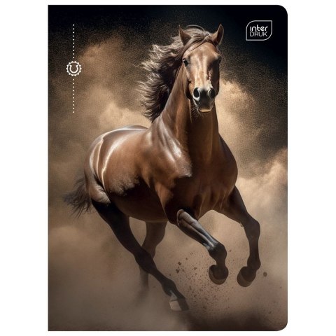 Zeszyt A5 16k. 70g krata Interdruk (ZE16KFK) Interdruk