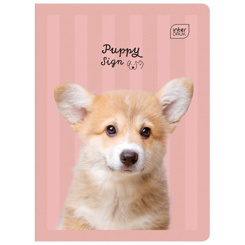 Zeszyt A5 16k. 70g trzy linie Interdruk Interdruk