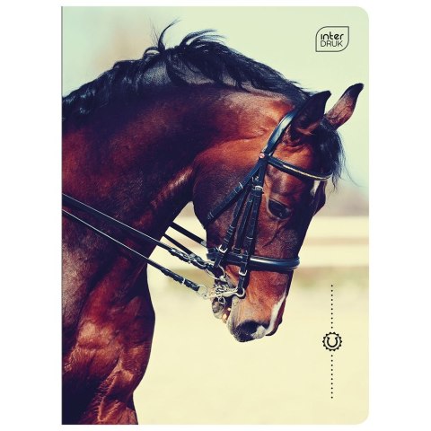 Zeszyt A5 16k. 70g trzy linie Interdruk Interdruk