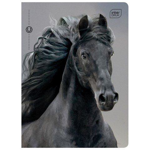 Zeszyt A5 32k. 70g linia Interdruk (ZE60#405B) Interdruk