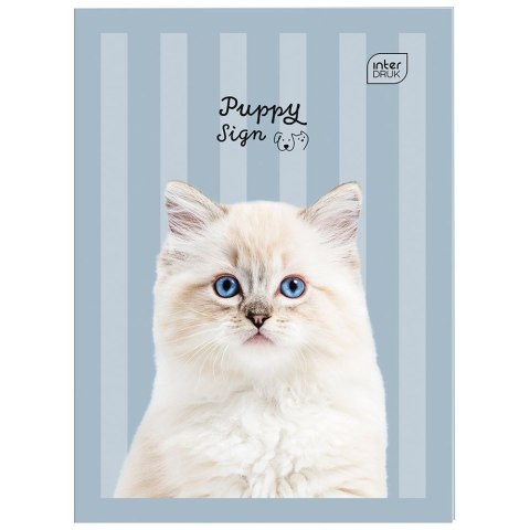 Zeszyt A5 32k. 70g trzy linie Interdruk Interdruk