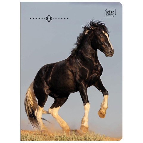 Zeszyt GIRLS A5 32k. 70g linia kolor Interdruk Interdruk