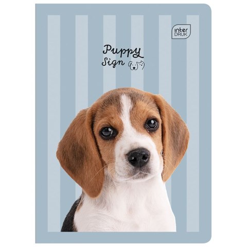 Zeszyt KOL3= A5 32k. 70g linia kolor Interdruk Interdruk