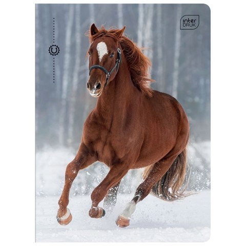 Zeszyt MIX A5 32k. 70g krata Interdruk (ZE32KF#) Interdruk