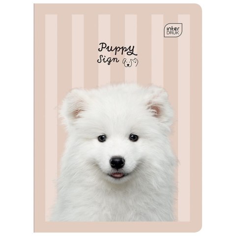 Zeszyt MIX A5 32k. 70g krata Interdruk (ZE32KF#) Interdruk