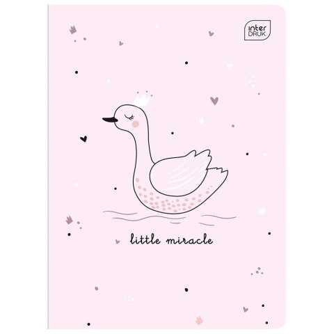 Zeszyt PICCOLO A5 16k. 70g linia kolor Interdruk Interdruk