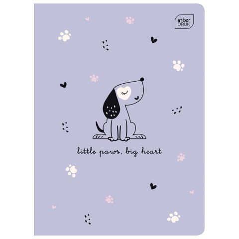 Zeszyt PICCOLO A5 16k. 70g linia kolor Interdruk Interdruk