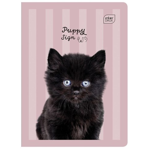 Zeszyt PUPPY SIGN A5 32k. 70g linia kolor Interdruk Interdruk