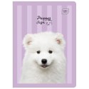 Zeszyt PUPPY SIGN A5 32k. 70g linia kolor Interdruk Interdruk