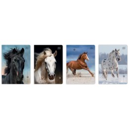 Zeszyt WILD HORSES A5 16k. 70g linia kolor Interdruk Interdruk