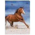 Zeszyt WILD HORSES A5 16k. 70g linia kolor Interdruk Interdruk