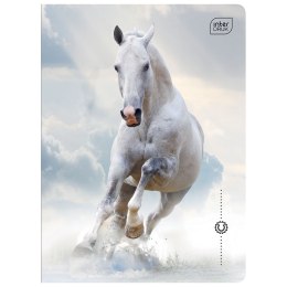 Zeszyt WILD HORSES A5 32k. 70g krata Interdruk Interdruk