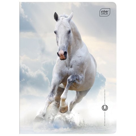 Zeszyt WILD HORSES A5 32k. 70g krata Interdruk Interdruk