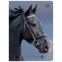 Zeszyt WILD HORSES A5 32k. 70g krata Interdruk Interdruk
