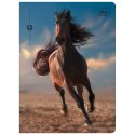 Zeszyt WILD HORSES A5 32k. 70g krata Interdruk Interdruk