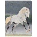 Zeszyt WILD HORSES A5 32k. 70g linia kolor Interdruk Interdruk