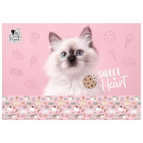 Podkład na biurko mix tektura Derform (POCF45) Derform