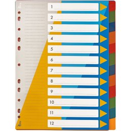 Przekładka czysta numeryczne A4 Tetis (BP630-12) Tetis