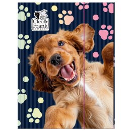 Teczka kartonowa na gumkę Cleo i Frank A4 mix Derform (5906601706097) Derform