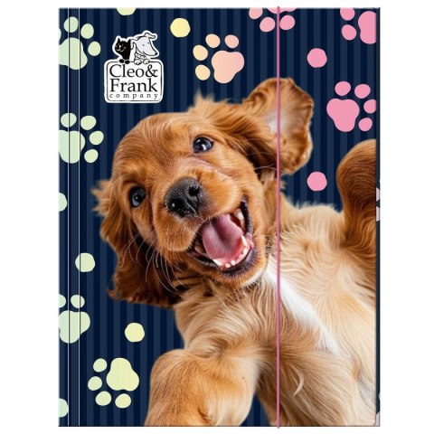 Teczka kartonowa na gumkę Cleo i Frank A4 mix Derform (5906601706097) Derform