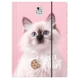 Teczka kartonowa na gumkę Cleo i Frank A4 mix Derform (TGA4CF45) Derform