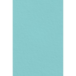 Filc kolor: mix 5 ark. [mm:] 200x297 Interdruk (IFILCPAS) Interdruk