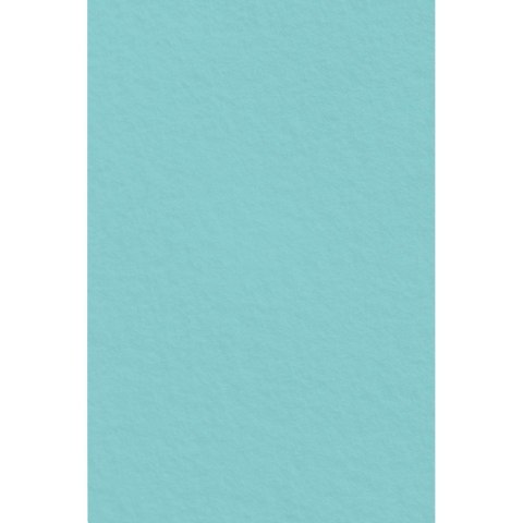 Filc kolor: mix 5 ark. [mm:] 200x297 Interdruk (IFILCPAS) Interdruk