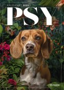 Kalendarz ścienny A4 PSY A4 Press (5904830713374) Press